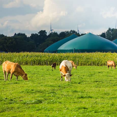 LeRoi Biogas Recovery Farm Industries